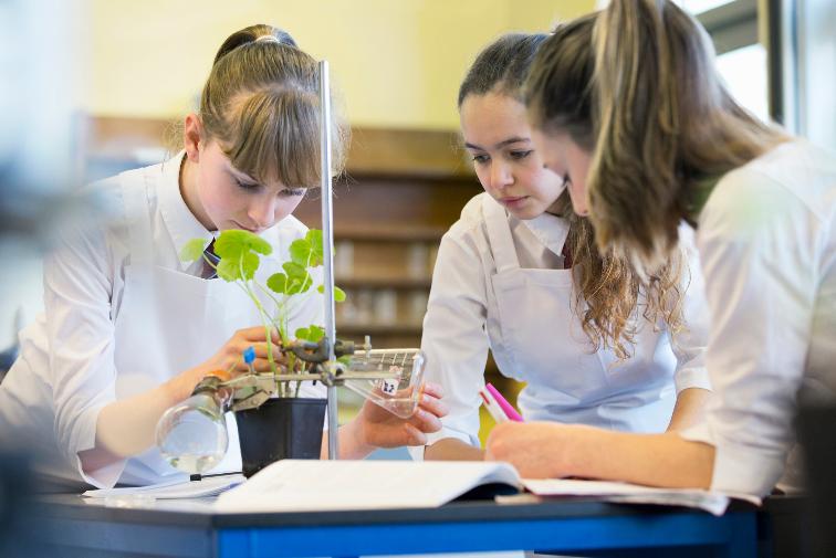 Повышение результативности обучающихся на ГИА по биологии: вебинар